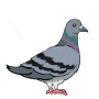 appearance.png